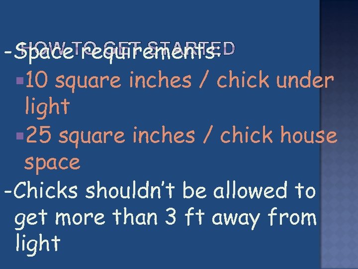 -Space requirements: 10 square inches / chick under light 25 square inches / chick