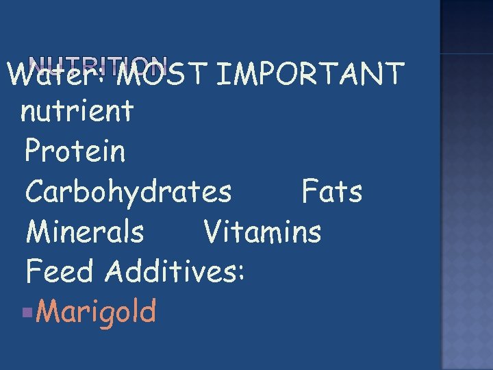 Water: MOST IMPORTANT nutrient Protein Carbohydrates Fats Minerals Vitamins Feed Additives: Marigold 