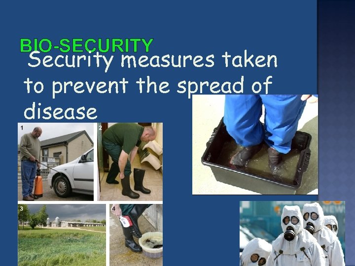 BIO-SECURITY Security measures taken to prevent the spread of disease 
