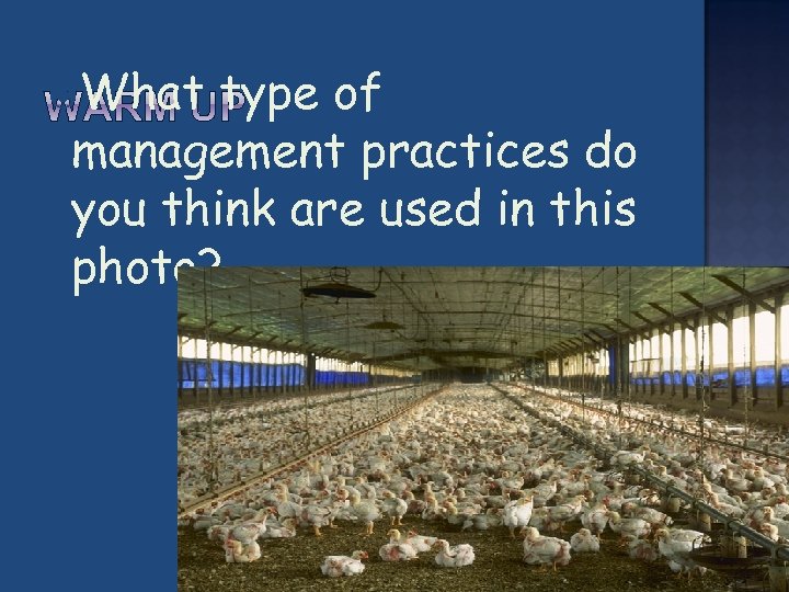  What type of management practices do you think are used in this photo?