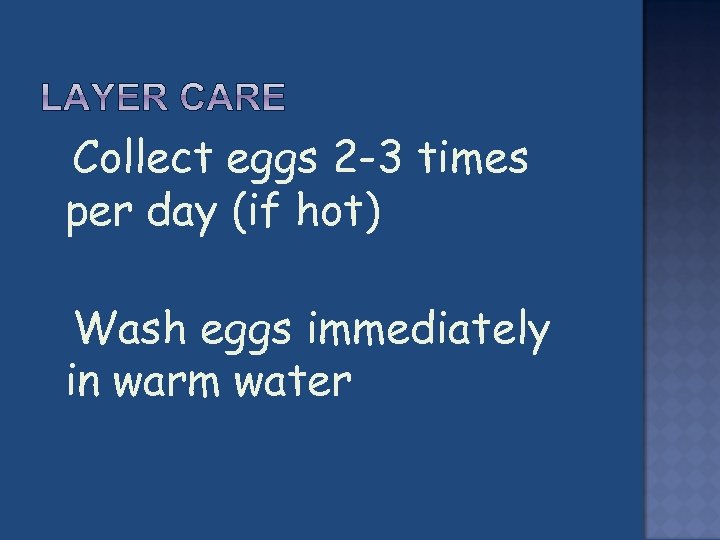  Collect eggs 2 -3 times per day (if hot) Wash eggs immediately in