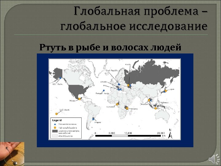 Глобальная проблема – глобальное исследование Ртуть в рыбе и волосах людей 