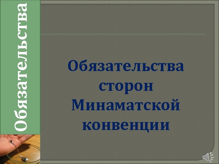 Обязательства сторон Минаматской конвенции 