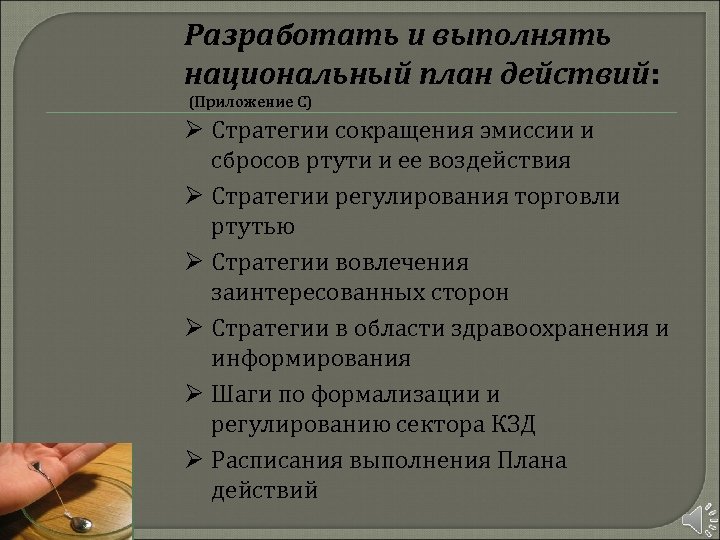 Разработать и выполнять национальный план действий: (Приложение С) Ø Стратегии сокращения эмиссии и сбросов