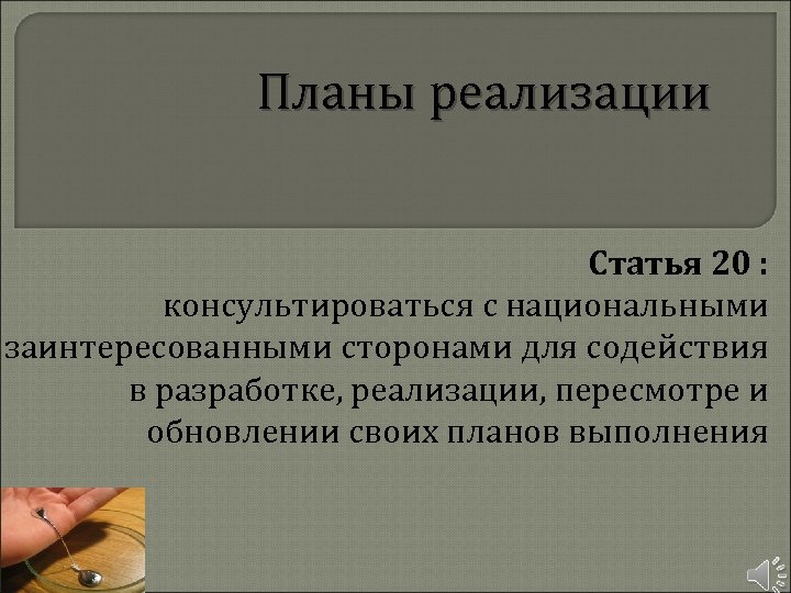 Планы реализации Статья 20 : консультироваться с национальными заинтересованными сторонами для содействия в разработке,