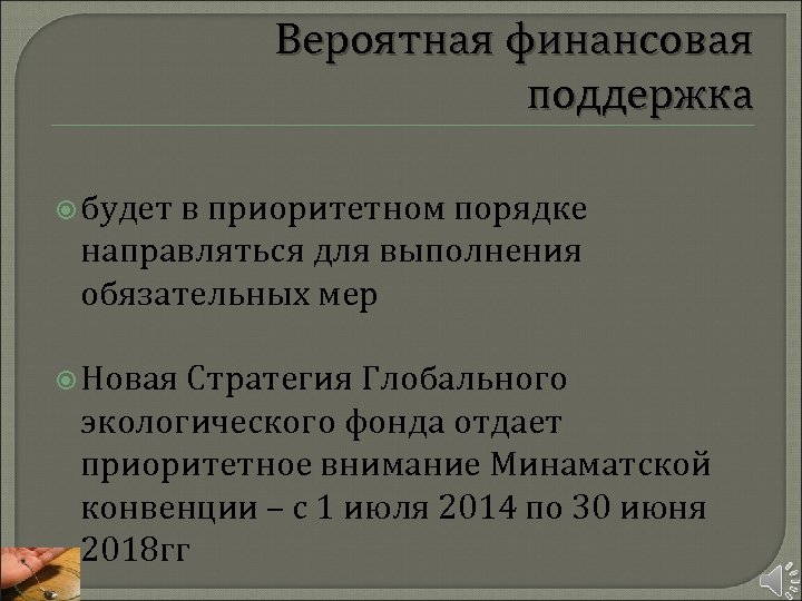 Вероятная финансовая поддержка будет в приоритетном порядке направляться для выполнения обязательных мер Новая Стратегия