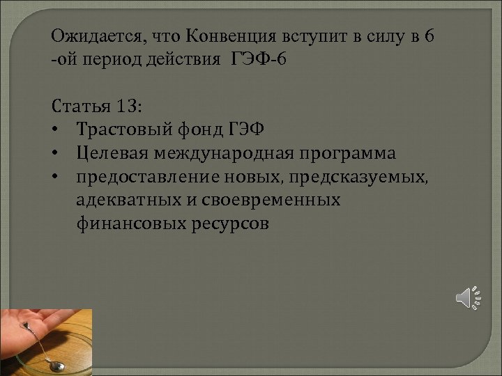 Ожидается, что Конвенция вступит в силу в 6 -ой период действия ГЭФ-6 Статья 13: