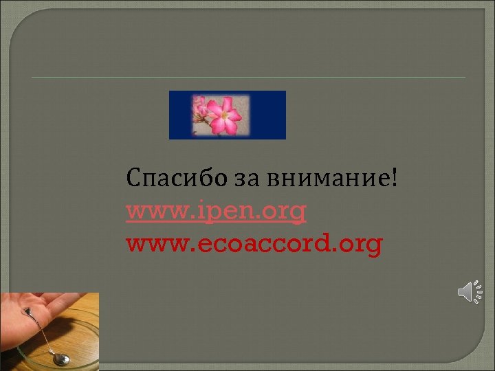 Спасибо за внимание! www. ipen. org www. ecoaccord. org 