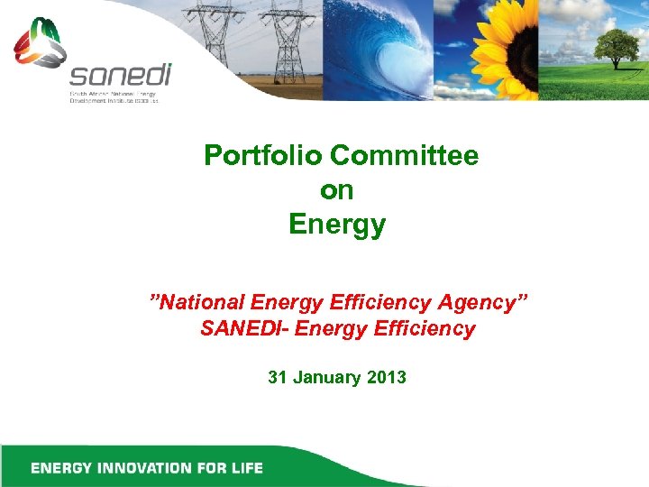 Portfolio Committee on Energy ”National Energy Efficiency Agency” SANEDI- Energy Efficiency 31 January 2013