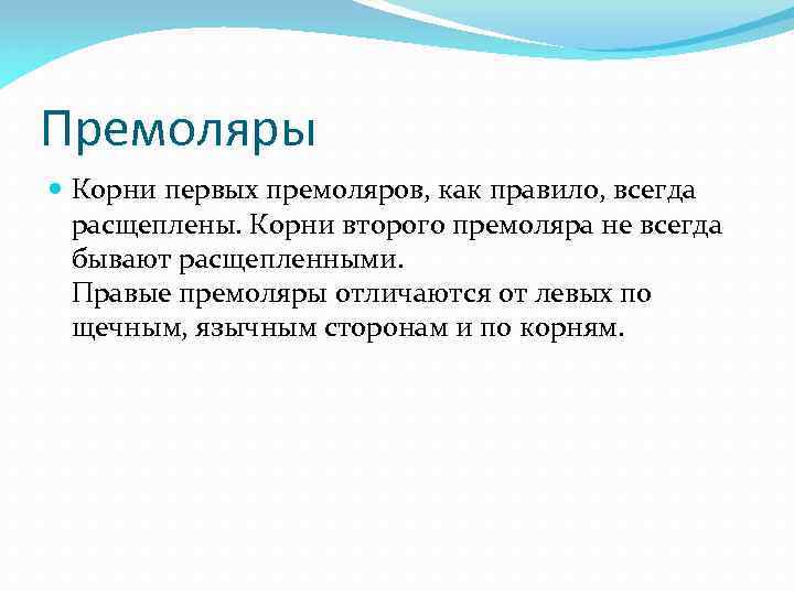 Премоляры Корни первых премоляров, как правило, всегда расщеплены. Корни второго премоляра не всегда бывают