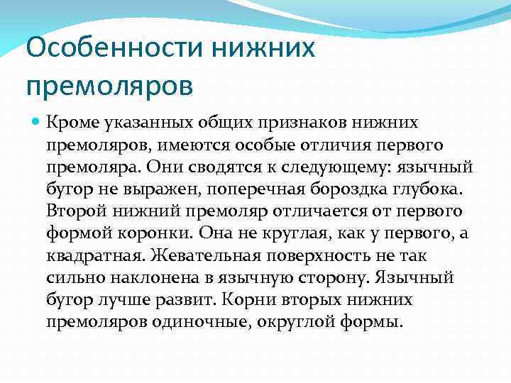 Особенности нижних премоляров Кроме указанных общих признаков нижних премоляров, имеются особые отличия первого премоляра.