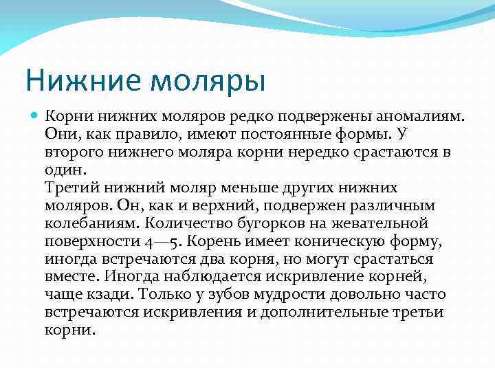 Нижние моляры Корни нижних моляров редко подвержены аномалиям. Они, как правило, имеют постоянные формы.