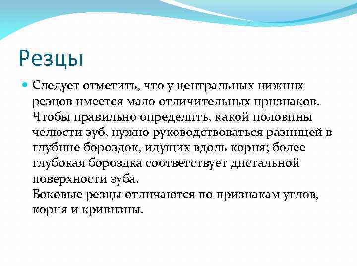 Резцы Следует отметить, что у центральных нижних резцов имеется мало отличительных признаков. Чтобы правильно