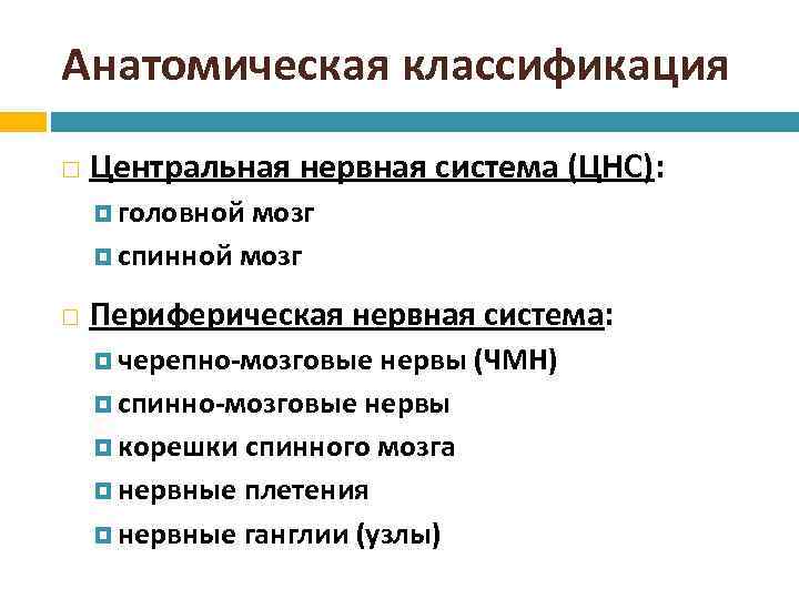 Анатомическая классификация Центральная нервная система (ЦНС): головной мозг спинной мозг Периферическая нервная система: черепно-мозговые