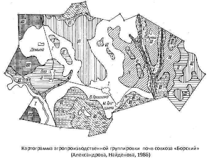 Картограмма агропроизводственной группировки почв совхоза «Борский» (Александрова, Найденова, 1986) 