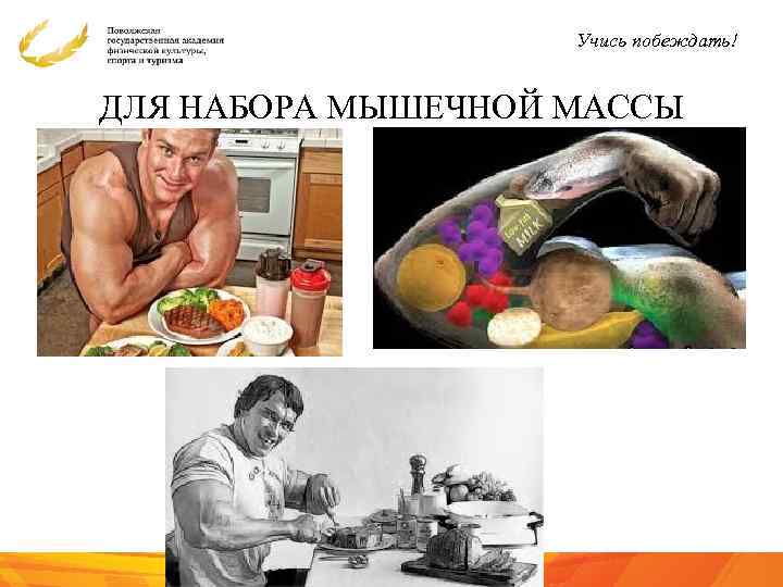 Учись побеждать! ДЛЯ НАБОРА МЫШЕЧНОЙ МАССЫ 