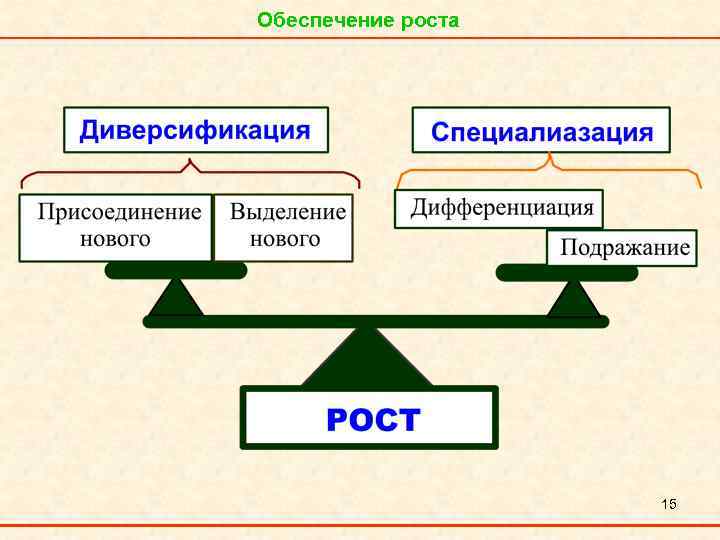 Обеспечение роста 15 