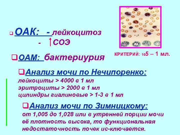 q ОАК: лейкоцитоз СОЭ q. ОАМ: бактериурия КРИТЕРИЙ: 105 – 1 мл. q. Анализ