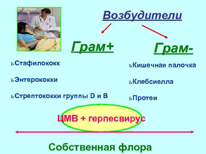 Возбудители Грам+ Грам ь Стафилококк ь Кишечная палочка ь Энтерококки ь Клебсиелла ь Стрептококки