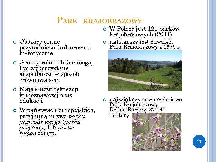 PARK KRAJOBRAZOWY W Polsce jest 121 parków krajobrazowych (2011) Obszary cenne przyrodniczo, kulturowo i