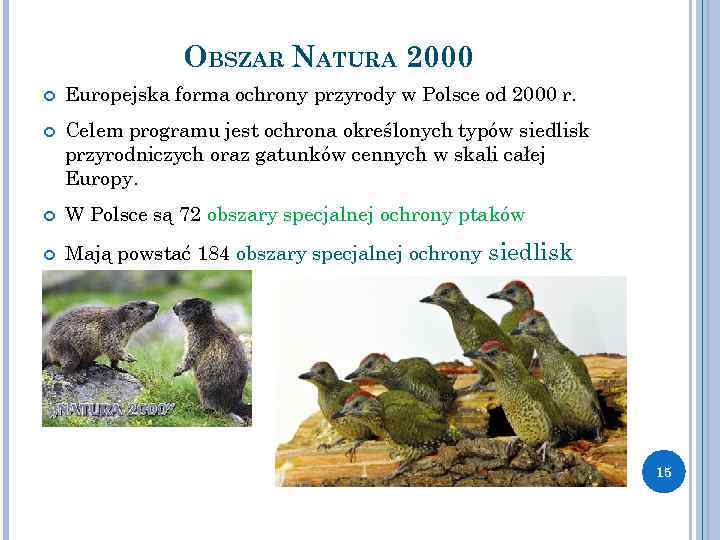 OBSZAR NATURA 2000 Europejska forma ochrony przyrody w Polsce od 2000 r. Celem programu