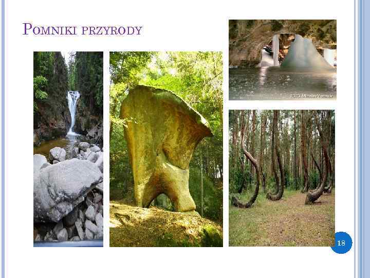 POMNIKI PRZYRODY 18 