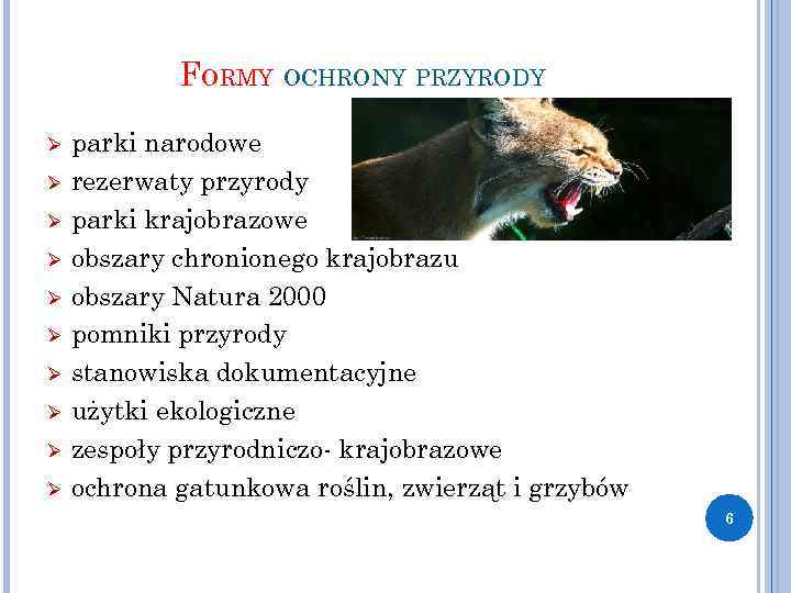 FORMY OCHRONY PRZYRODY Ø Ø Ø Ø Ø parki narodowe rezerwaty przyrody parki krajobrazowe