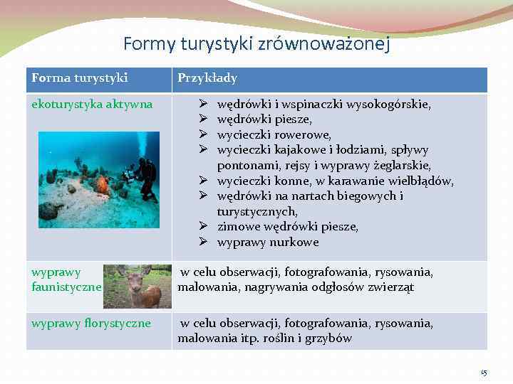 Formy turystyki zrównoważonej Forma turystyki ekoturystyka aktywna Przykłady Ø Ø Ø Ø wędrówki i