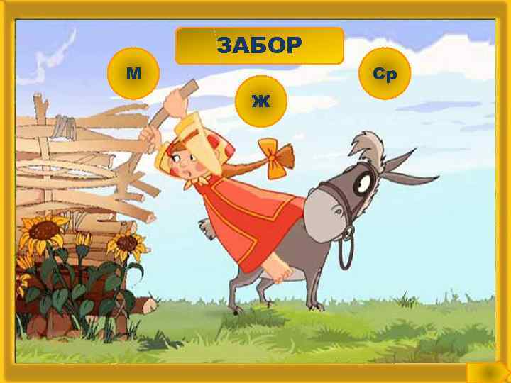 М ЗАБОР Ж Ср 