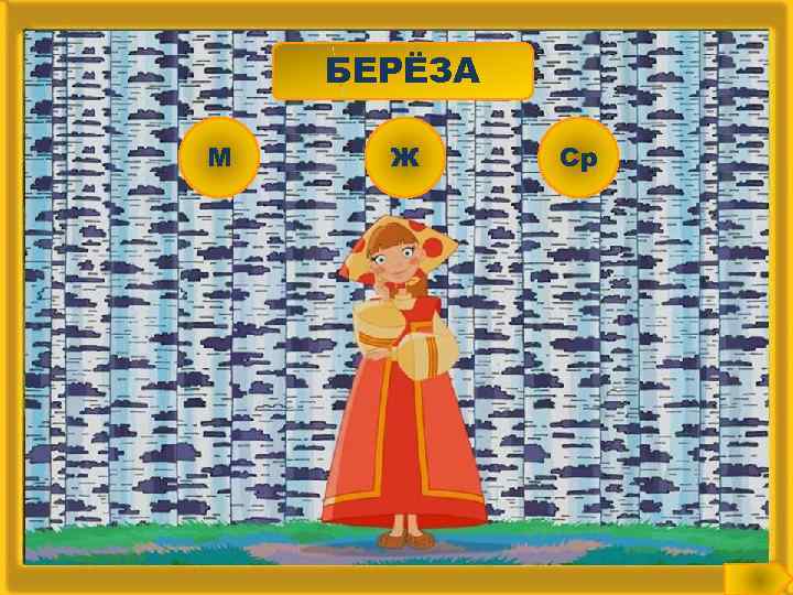 БЕРЁЗА М Ж Ср 