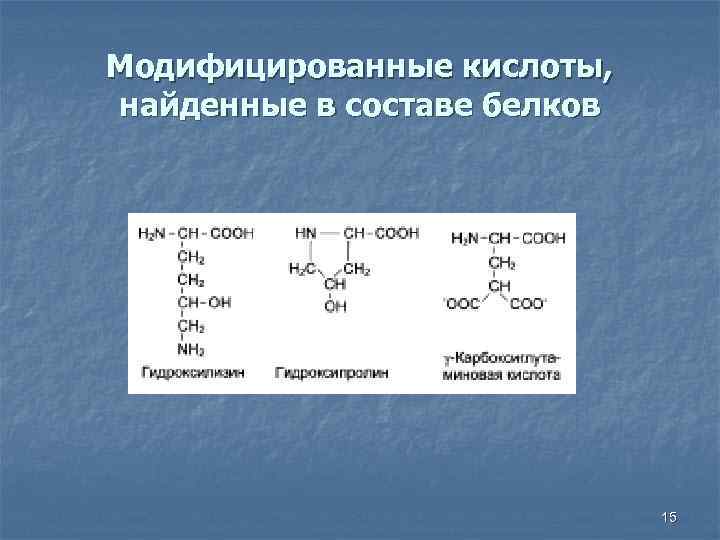 Модифицированные кислоты, найденные в составе белков 15 
