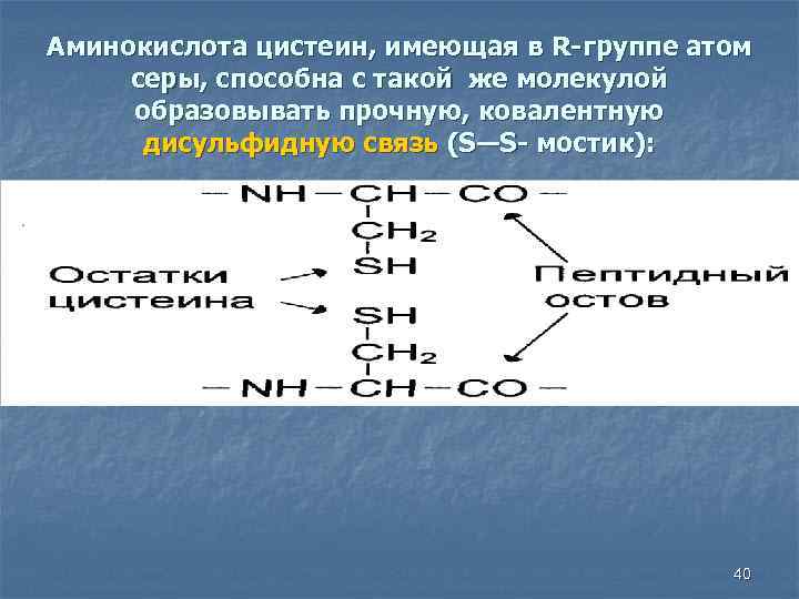 Аминокислота цистеин, имеющая в R-группе атом серы, способна с такой же молекулой образовывать прочную,