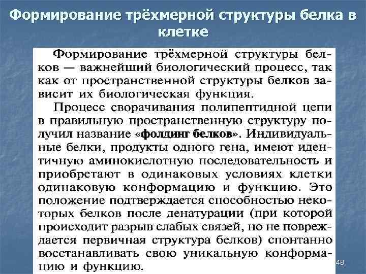 Формирование трёхмерной структуры белка в клетке 48 