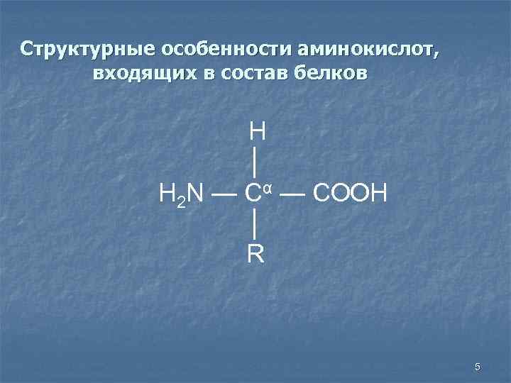 Структурные особенности аминокислот, входящих в состав белков H │ H 2 N — Cα