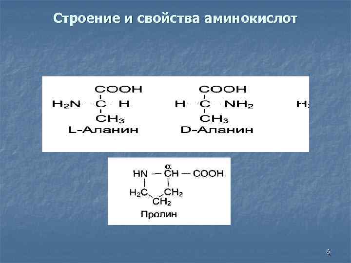 Строение и свойства аминокислот 6 