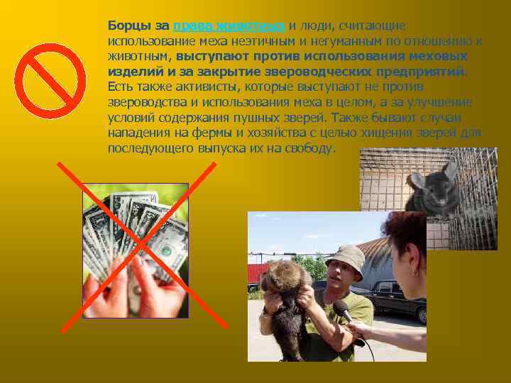 Борцы за права животных и люди, считающие использование меха неэтичным и негуманным по отношению