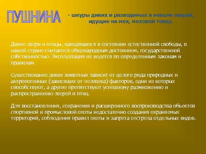 - шкуры диких и разводимых в неволе зверей, идущие на мех, меховой товар. Дикие