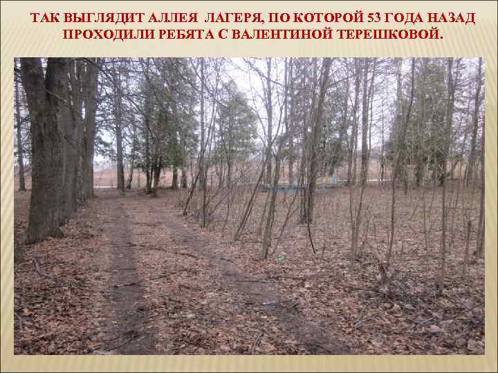 ТАК ВЫГЛЯДИТ АЛЛЕЯ ЛАГЕРЯ, ПО КОТОРОЙ 53 ГОДА НАЗАД ПРОХОДИЛИ РЕБЯТА С ВАЛЕНТИНОЙ ТЕРЕШКОВОЙ.