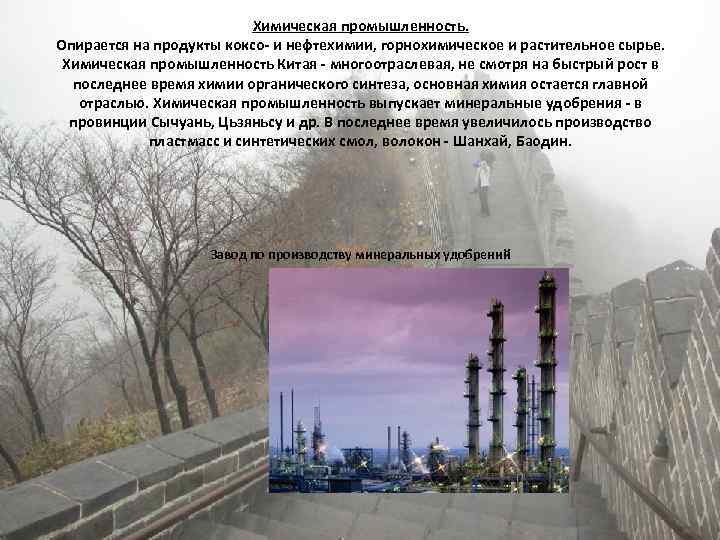 Химическая промышленность. Опирается на продукты коксо- и нефтехимии, горнохимическое и растительное сырье. Химическая промышленность