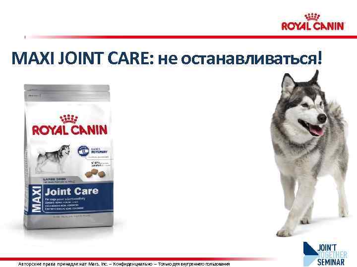 MAXI JOINT CARE: не останавливаться! © АВТОРСКИЕ ПРАВА ПРИНАДЛЕЖАТ MARS INCORPORATED — Авторские права