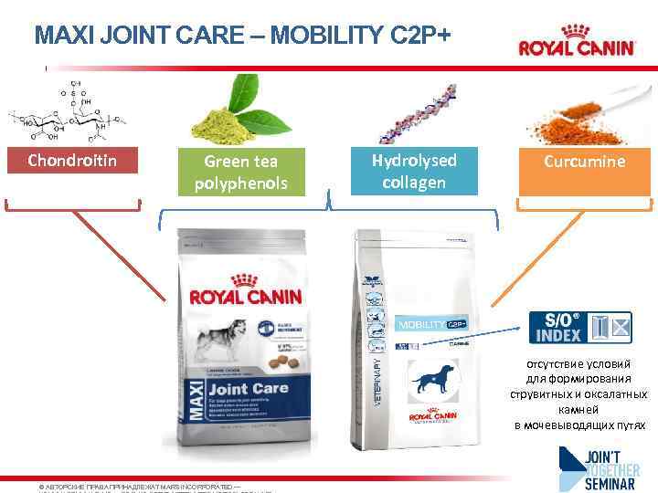 MAXI JOINT CARE – MOBILITY C 2 P+ Chondroitin Green tea polyphenols Hydrolysed collagen