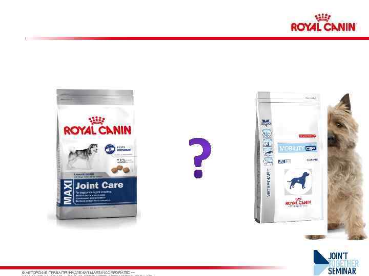 © АВТОРСКИЕ ПРАВА ПРИНАДЛЕЖАТ MARS INCORPORATED — 