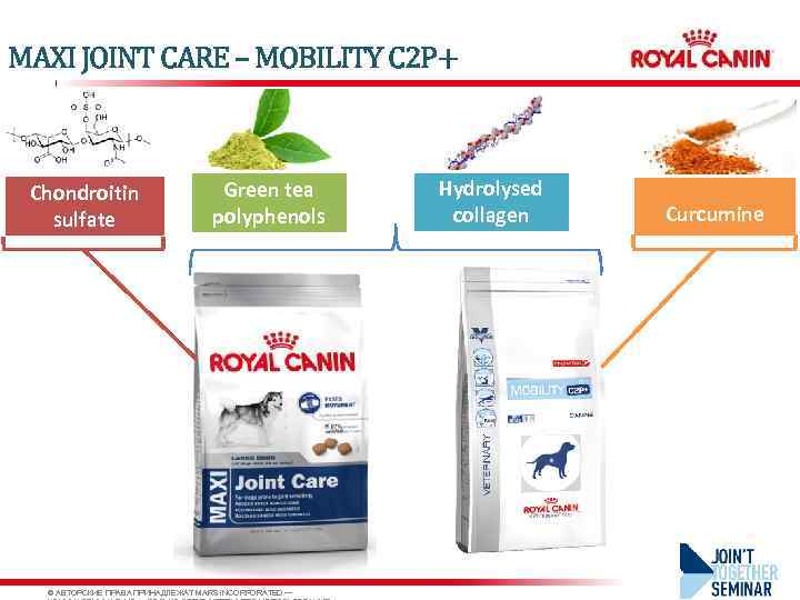 MAXI JOINT CARE – MOBILITY C 2 P+ Chondroitin sulfate Green tea polyphenols ©