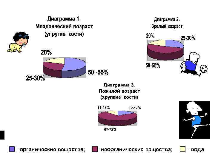 - органические вещества; - неорганические вещества; - вода 