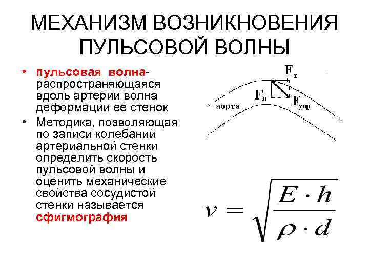 МЕХАНИЗМ ВОЗНИКНОВЕНИЯ ПУЛЬСОВОЙ ВОЛНЫ • пульсовая волнараспространяющаяся вдоль артерии волна деформации ее стенок •