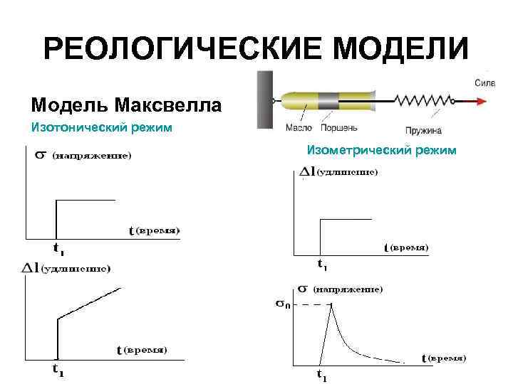 РЕОЛОГИЧЕСКИЕ МОДЕЛИ Модель Максвелла Изотонический режим Изометрический режим 