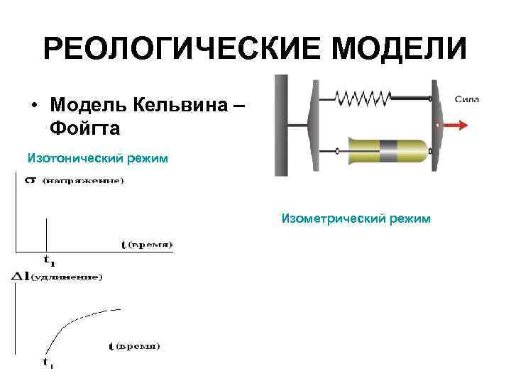 РЕОЛОГИЧЕСКИЕ МОДЕЛИ • Модель Кельвина – Фойгта Изотонический режим Изометрический режим 