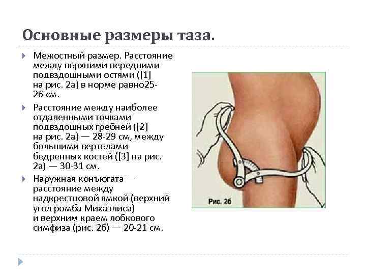 Размеры женского таза презентация