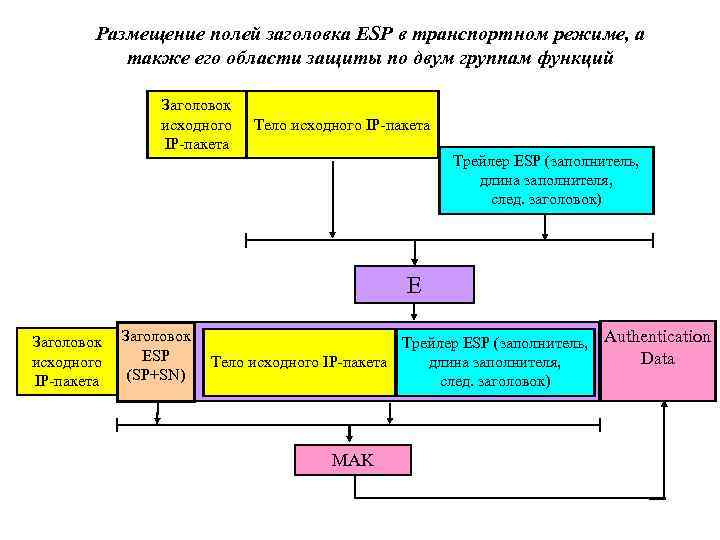 Размещение полей заголовка ESP в транспортном режиме, а также его области защиты по двум