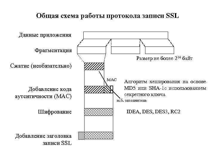 Опишите схему работы протокола rip